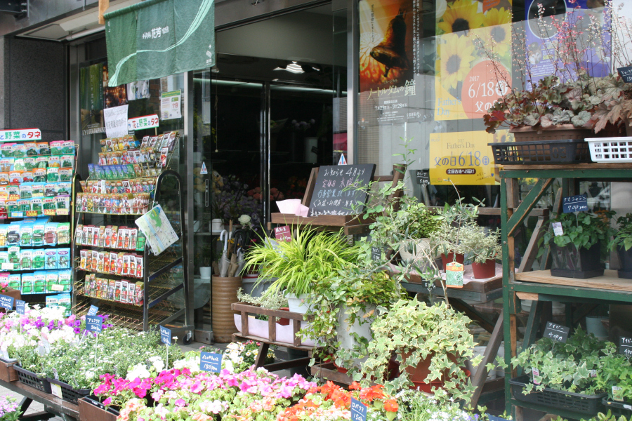 Touring Japan Language&nbsp;Tips