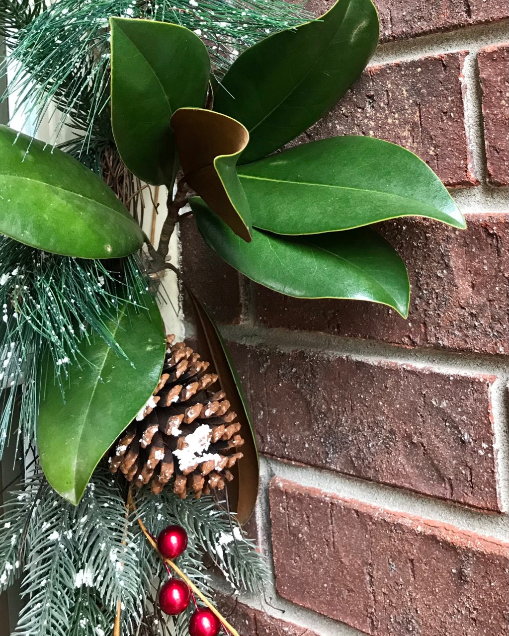 Cedar and Magnolia Leaves For&nbsp;Christmas